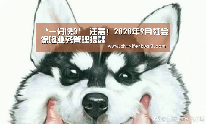 ‘一分快3’
注意!2020年9月社会保险业务管理提醒(图3) 一分快3