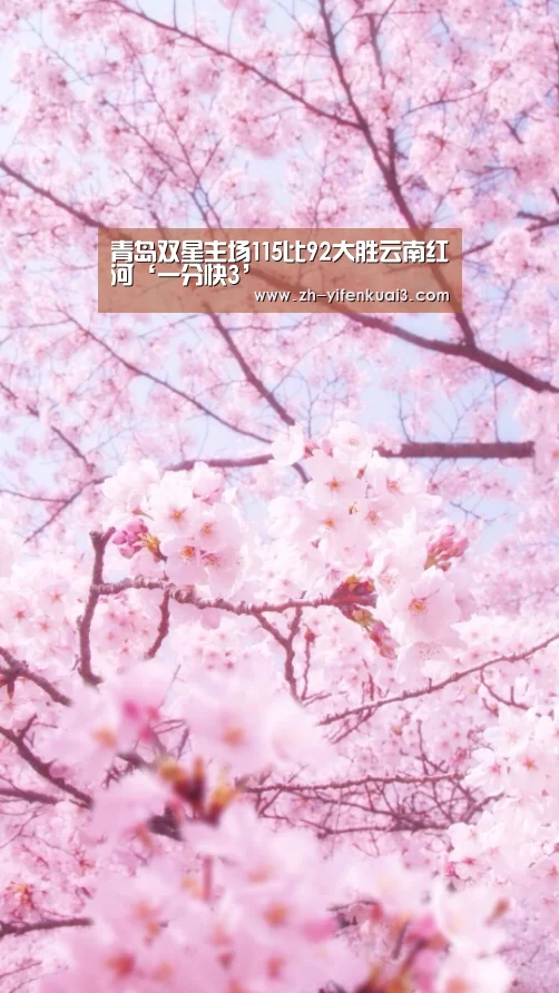 青岛双星主场115比92大胜云南红河‘一分快3’