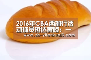 2016年CBA西部行活动球员抵达黄陵：一分快3
