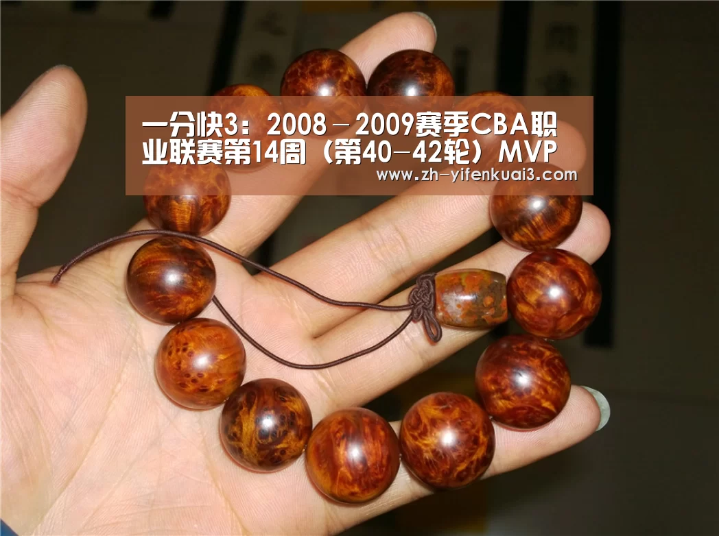 一分快3：2008－2009赛季CBA职业联赛第14周（第40-42轮）MVP