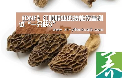 《DNF》红眼职业的技能伤害测试“一分快3”(图2) 一分快3