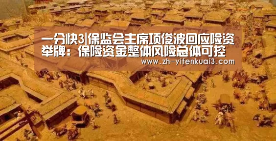 一分快3|保监会主席项俊波回应险资举牌:保险资金整体风险总体可控(图4) 一分快3